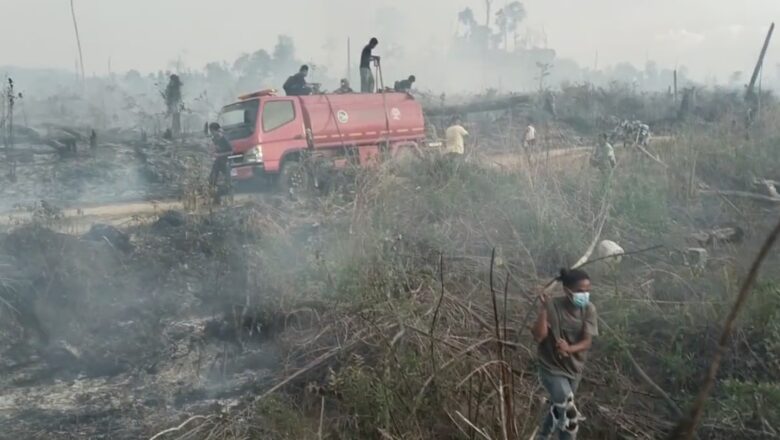Gemakato Kecam ABT, Perusahan Restorasi Tapi Gagal Amankan Hutan dari Karhutla