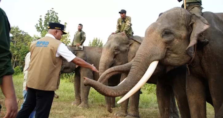 Agus Rubiyanto Sebut Stasiun Orang Hutan dan Penangkaran Gajah Mesti Dioptimalkan Sebagai Objek Wisata